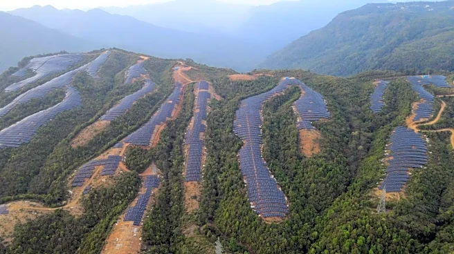 India may cancel green power projects struggling to find clients