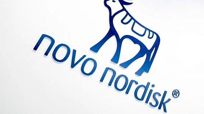 Novo Nordisk’s new CEO faces investor heat as Pfizer lawsuit deepens amid board overhaul