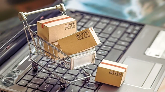 Govt proposes mandatory 'country of origin' filters for e-commerce platforms