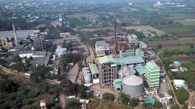 Tilaknagar Industries Q2 Results | Profit falls 10% on margin pressure despite 6% revenue growth