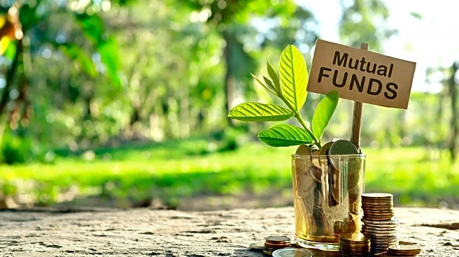 BLS E-Services enters mutual fund market through partnership with ACMIIL