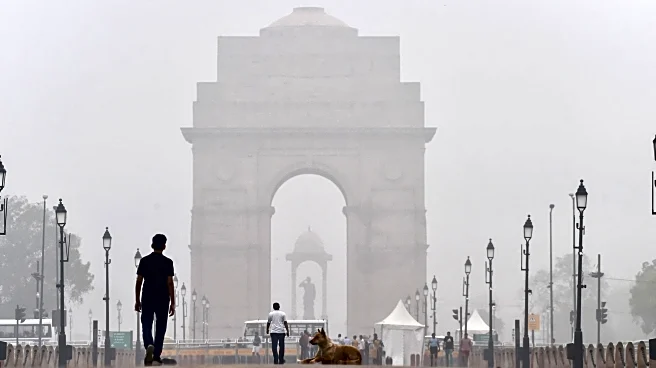Dense fog disrupts Delhi airport operations; 177 flights cancelled, over 500 delayed on Friday