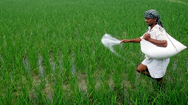Centre launches digital system to process ₹ 2 lakh crore fertilizer subsidy