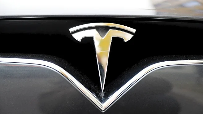 Tesla loses EV crown to BYD as demand dips, credits expire