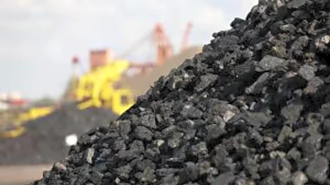 Govt removes import restrictions on low-ash metallurgical coke