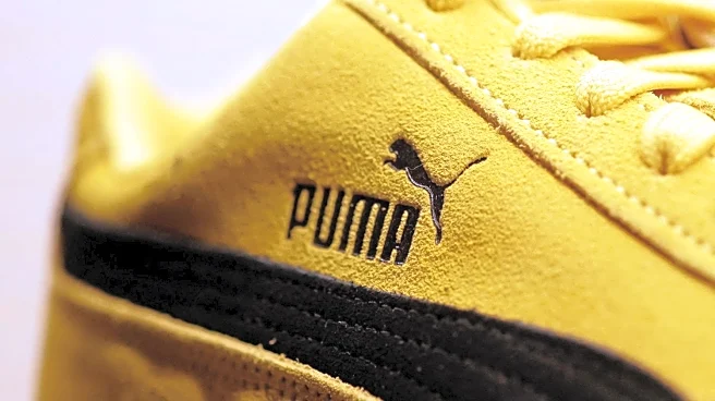 China's Anta Sports offers to buy Pinault family's 29% Puma stake: report