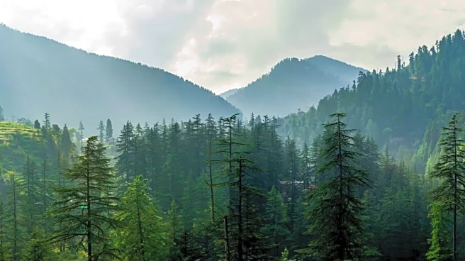 Himachal's fish production likely to reach 19,000 metric tonnes in FY26: CM