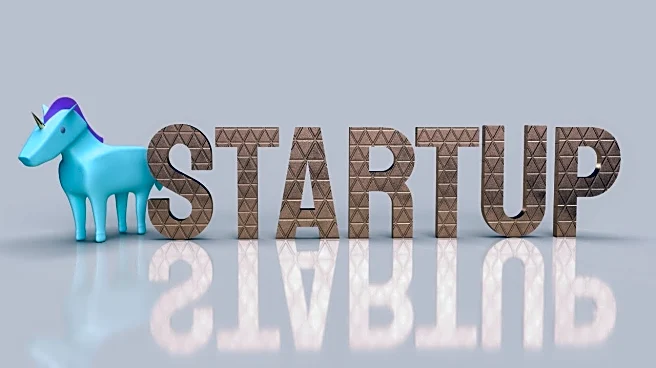 Startups got 3.8 times funding from private sector than from govt schemes: DPIIT