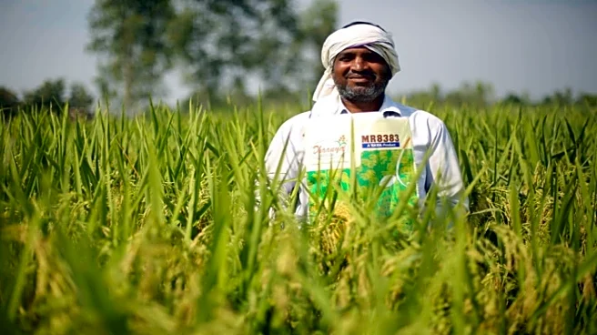 Rallis India Q3 Results | Net profit falls 5-fold on wage code provision, other parameters rise