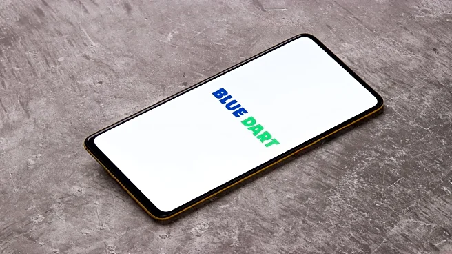 Blue Dart Q3 profit dips 16% on one-time charge, revenue up 7%, margins rise