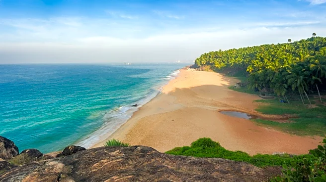 AMD estimates 13.15 mn tonnes monazite in beach sand deposits across 8 states: Reddy