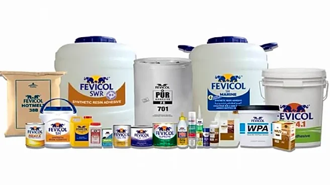 Pidilite delivers solid Q3, profit and revenue beat Street estimates