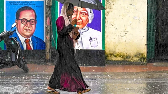 Govt imposes minimum import price for umbrellas at Rs 100 per piece