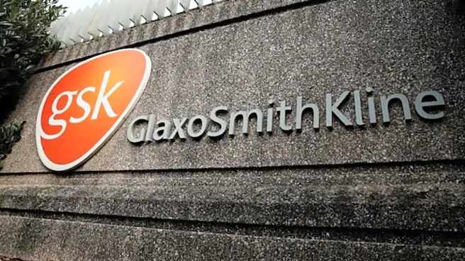 GlaxoSmithKline Q3 net profit surges 29% on higher revenue and EBITDA