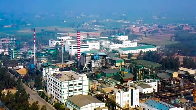 IOL Chemicals Q3 Results: Net profit flat, revenue up 11%; declares interim dividend