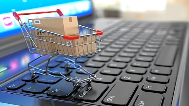 India's e-retail crosses $65 billion in 2025; nation a global leader in q-commerce: Report