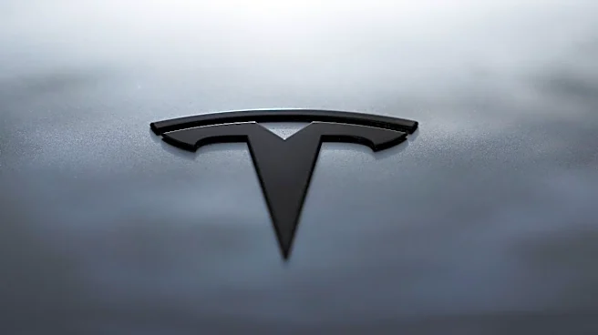 Tesla is developing a new smaller, cheaper EV, says report