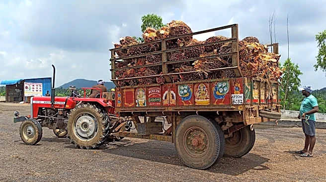 India's March palm oil imports fall 19% to three-month low