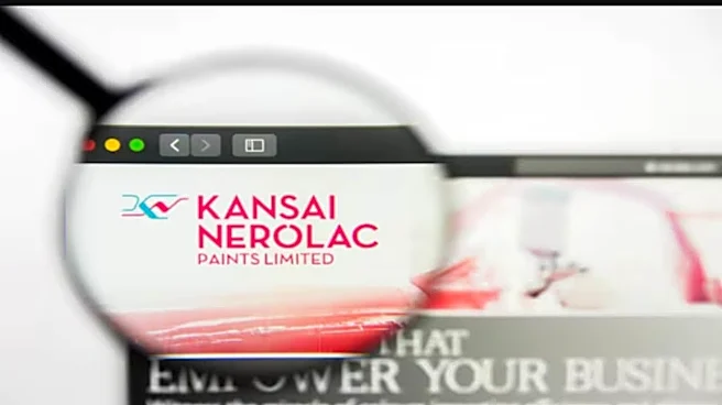 Kansai Nerolac Q4 profit up 4%; EBITDA jumps 31% on strong margin expansion; declares dividend