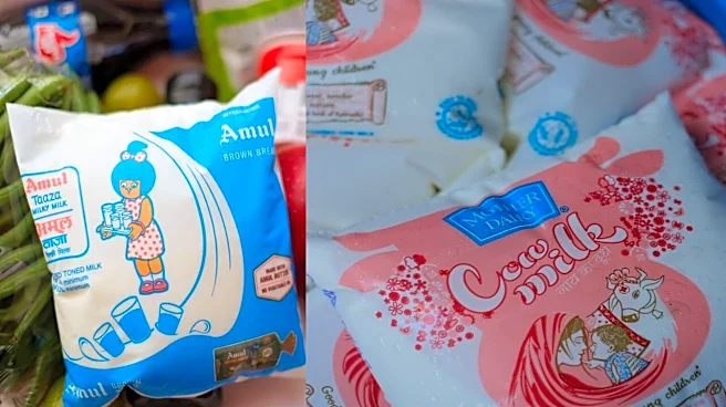 Amul, Mother Dairy hike milk prices by ₹2/litre; new rates effective May 14