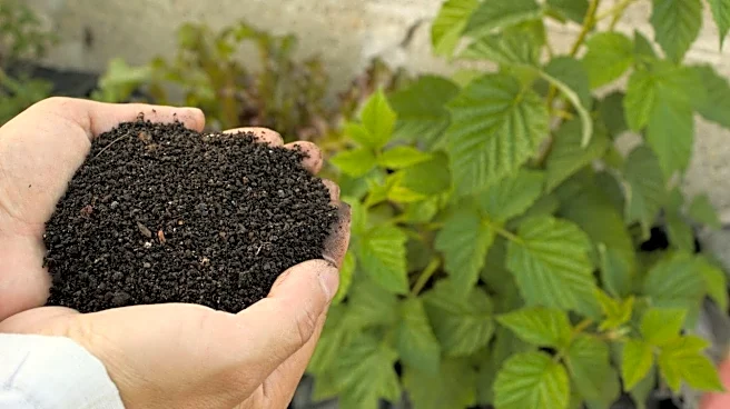 Chambal Fertilisers Q4 profit surges 30% on EBITDA growth; declares ₹6 dividend