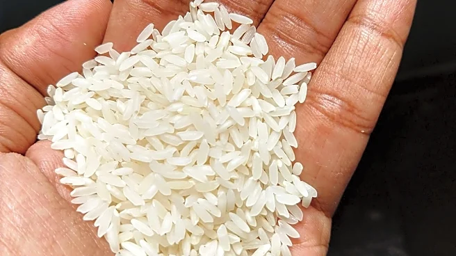 West Bengal rice industry seeks better infrastructure, export push from new BJP government