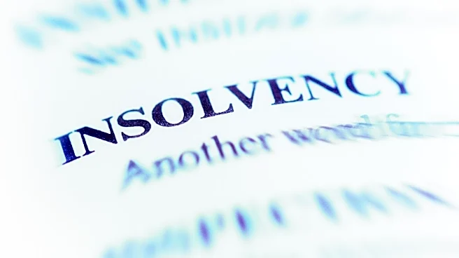 IBBI issues new guidelines to speed up appointment of insolvency professionals
