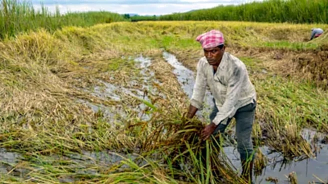 Competition Commission okays UPL group's crop protection businesses reorganisation