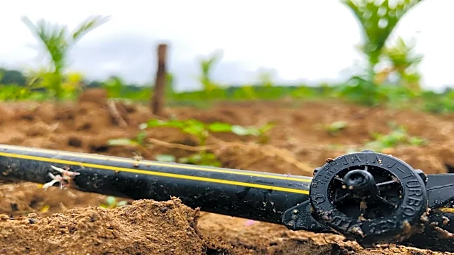 Jain Irrigation commissions 20,000 tonne biochar unit in Maharashtra's Jalgaon