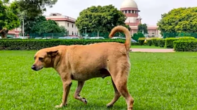 How Bengaluru startup Dognosis is using canines to detect cancer