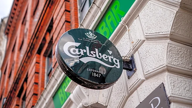Carlsberg gearing up to file for a $700 million India IPO, says report