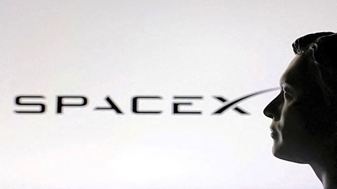 SpaceX treated as ‘simply too risky’ for funds with governance mandates