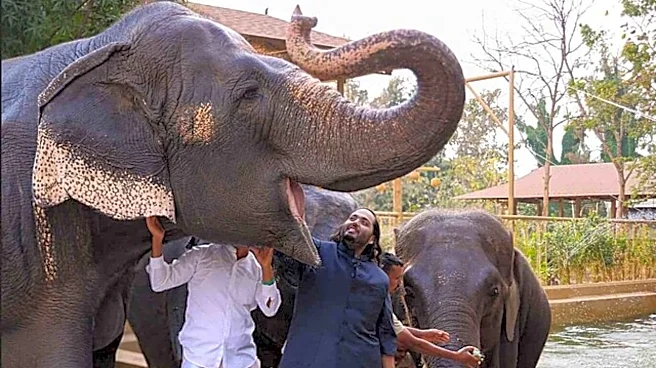 Reliance Industries AGM: Reliance to set up Vantara University in Jamnagar for wildlife and veterinary sciences