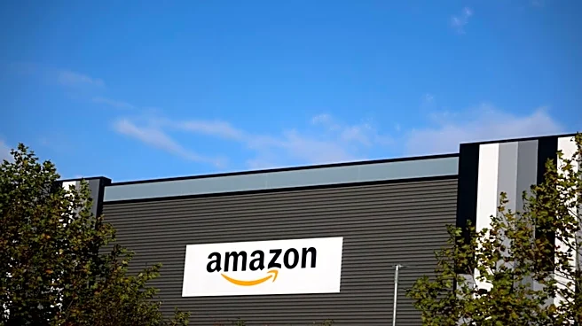 Explained: How Amazon Prime reshaped shopping in India and why quick commerce won’t replace e-commerce