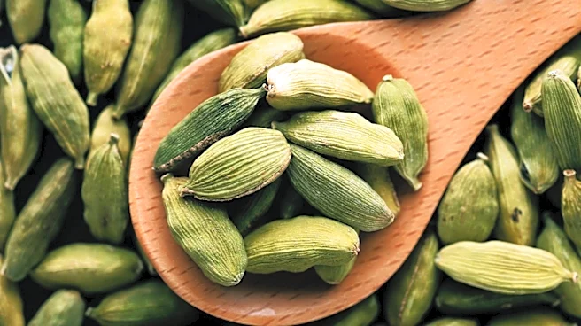 India's whole cardamom exports more than triple to $436.8 million in FY26