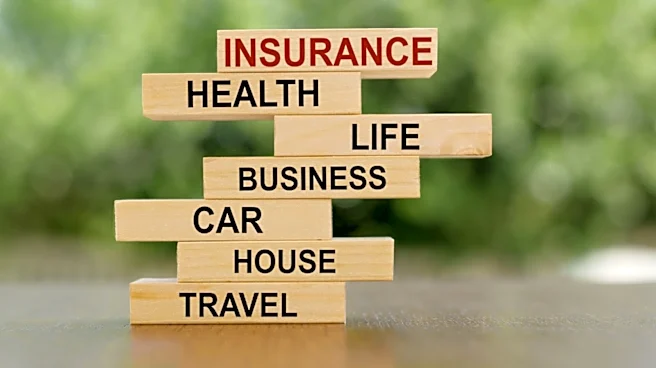 Turtlemint expects profits to grow after first-ever profitable quarter as insurance distribution network expands