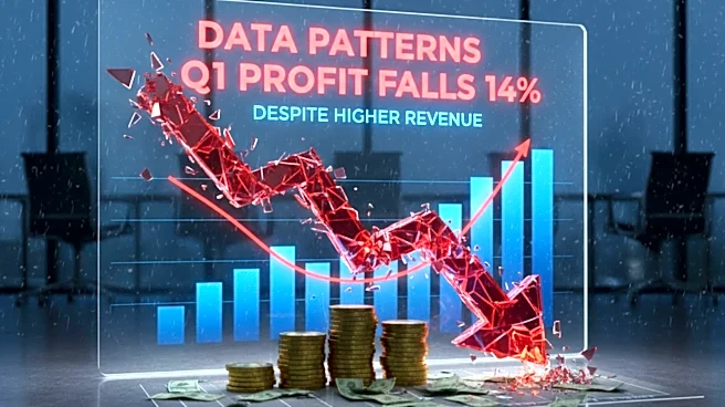 Data Patterns Q1 profit falls despite higher revenue; acquires composites firm