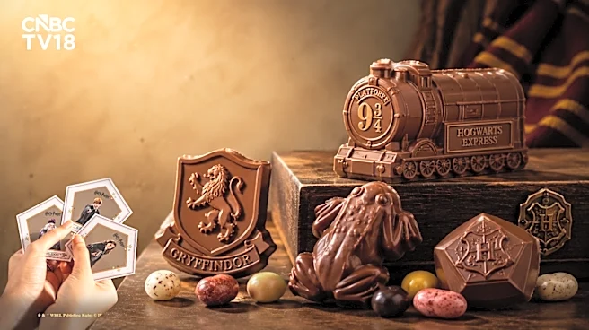 Happy Birthday Harry Potter! How the Boy Who Lived is powering India's licensed chocolate market