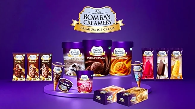 Reliance Consumer Products enters ice cream market with Bombay Creamery