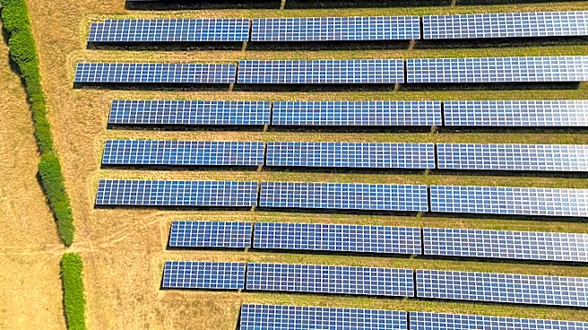 Solex Energy gets ₹75 crore solar PV module orders, order pipeline at ₹846 crore