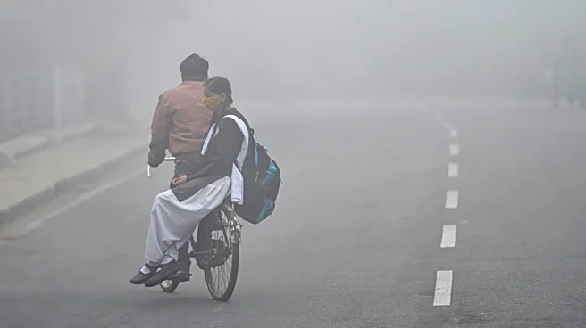 Weather Update: Cold wave sweeps parts of Maharashtra; temperatures drop in Himachal, Uttarakhand