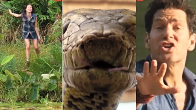 Anaconda set for a massive 1,000+ screen release across India on Dec 25