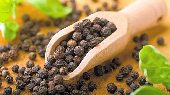 7 Simple winter gardening tips to grow organic black pepper at home