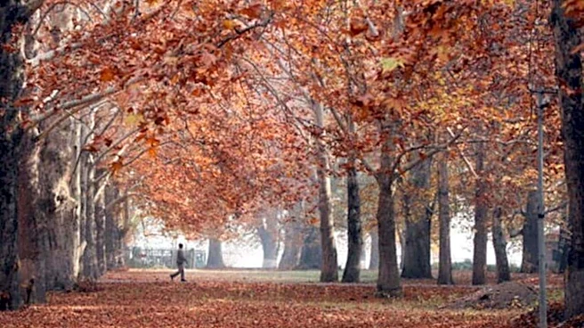 11:11 Weekend | From Kashmir through the seasons to Amarnath Yatra, pet travel and mindful eating