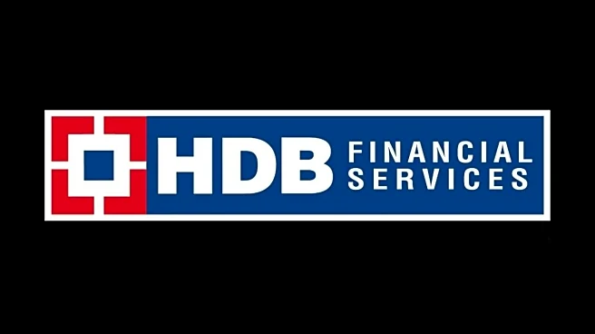 HDB Financial Services Q2 Results: Net interest income up 20%, declares dividend