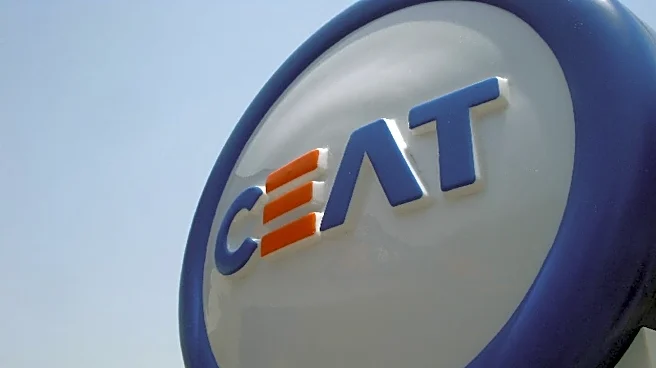 CEAT shares surge 13% to record high, takes peers with it