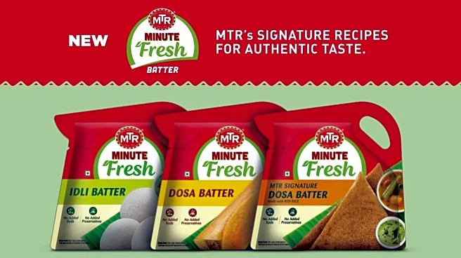 Orkla India IPO GMP up 13% ahead of issue opening for subscription on October 29