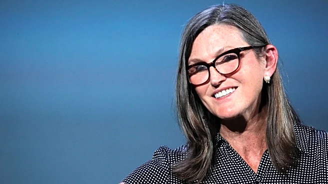 Ark Invest's Cathie Wood sees potential 'reality check' ahead for AI stocks