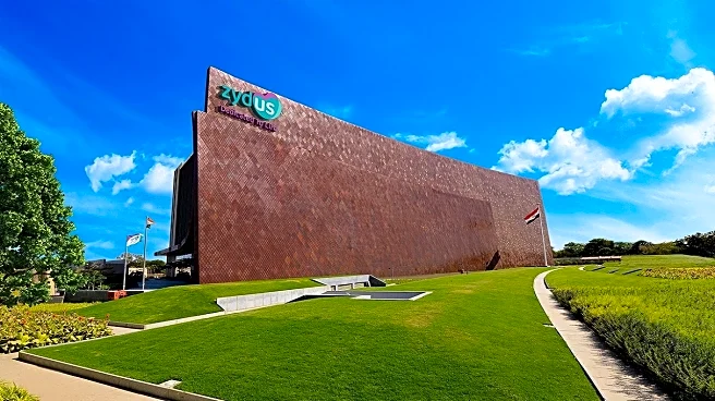 Zydus Lifesciences to weigh ₹5,000 crore fundraise ahead of Q2 results announcement
