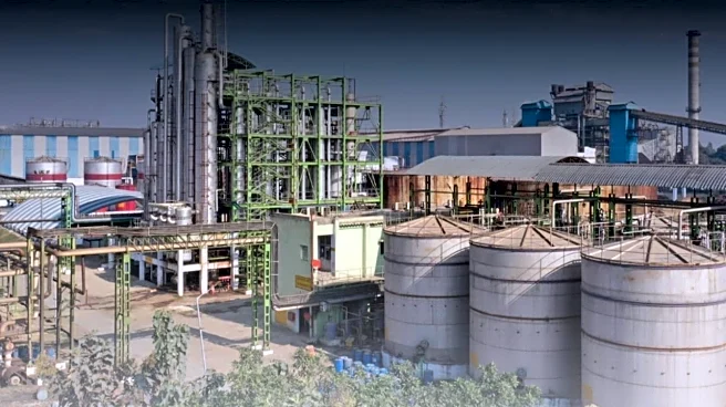 Dalmia Bharat Sugar Q2 Results | Net profit dives 56% to ₹23 crore despite 7% revenue growth